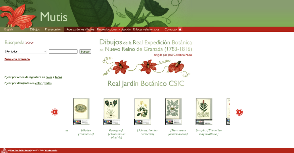 Sitio oficial Dibujos de la Real Expedición Botánica de Madrid